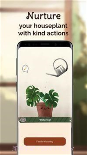 室内养花截图2
