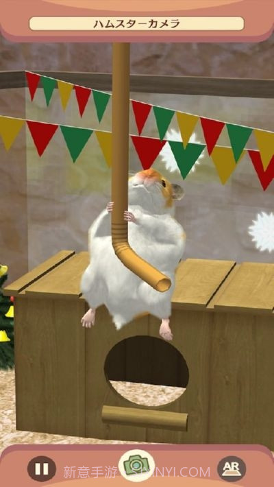 我的仓鼠无限金币版截图1