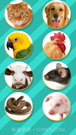 pettranslator截图1