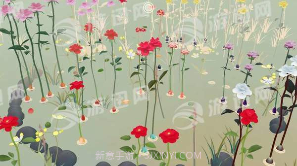 玫瑰花园截图5 玫瑰花园截图5