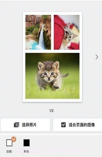 SELPHY Photo Layout截图1 SELPHY Photo Layout截图1