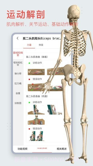3Dbody艺用截图1 3Dbody艺用截图1