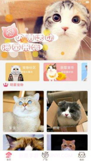 猫咪app截图1
