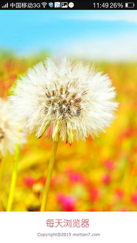 每天浏览器截图5