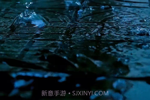 街2截图3 街2截图3