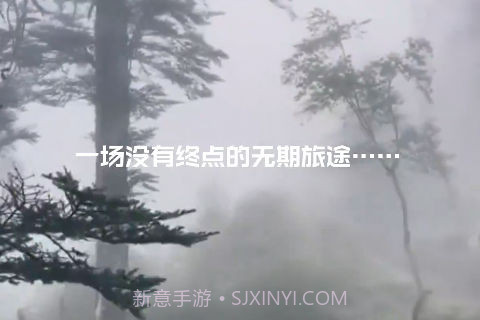 街2截图4 街2截图4