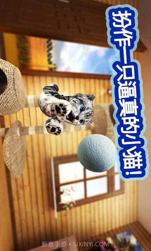 迷你小猫城市生存截图2