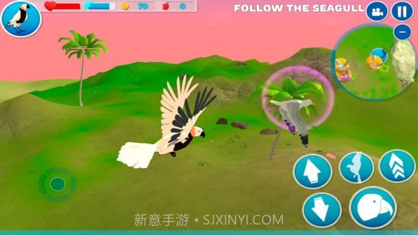 小小鹦鹉模拟器截图4