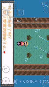 口袋妖怪暗兽神截图1