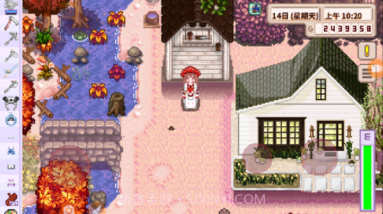 星露谷物语多人结婚mod美化截图2