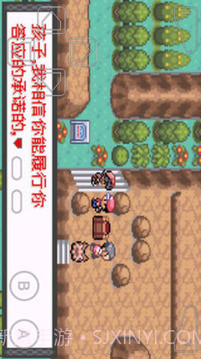 口袋妖怪暗兽神截图3