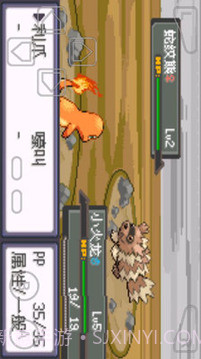 口袋妖怪暗兽神截图5