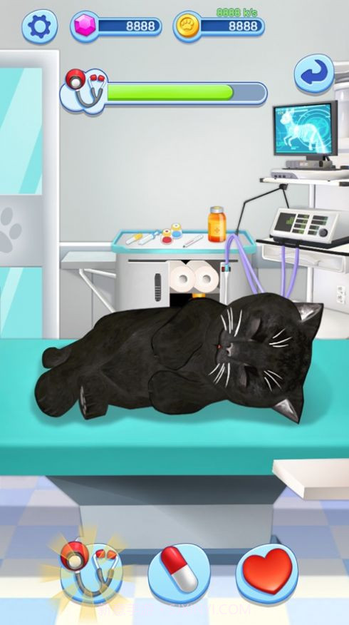 我的小猫咪养成记截图3