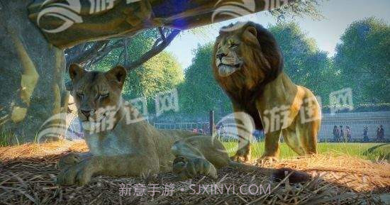 动物园之星免费中文版截图2