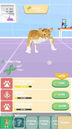 动物进化实验截图1 动物进化实验截图1