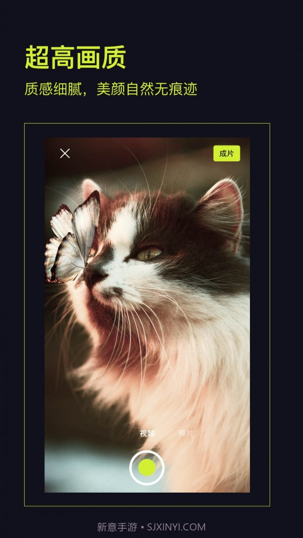 开拍action截图1 开拍action截图1