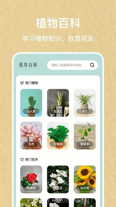 识别花大师截图4 识别花大师截图4