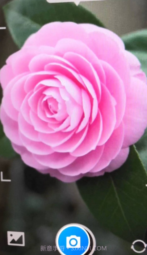 智能花卉识别截图3