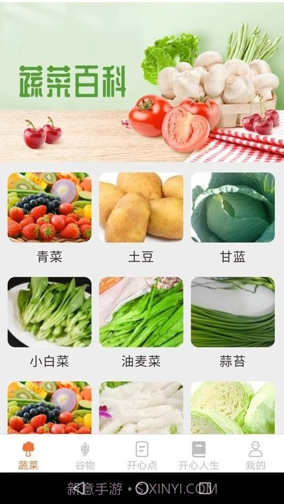绿色菜园子截图4 绿色菜园子截图4