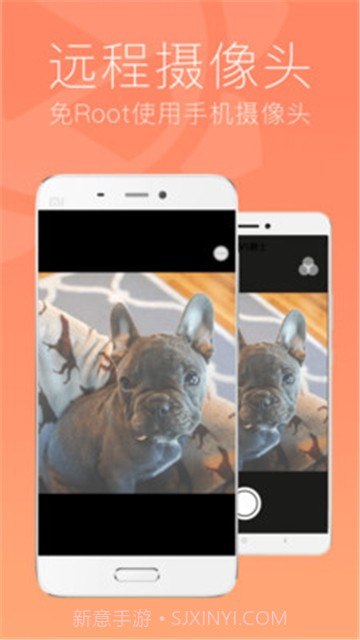 SunloginClient截图1