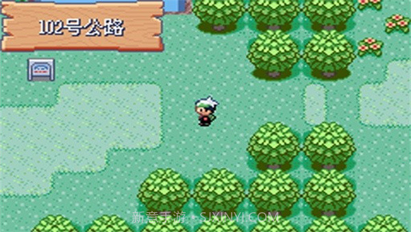 宝可梦剑盾全随机截图4