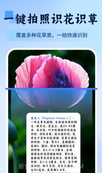万物识图快拍易识别截图1