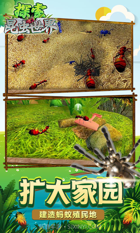 探索昆虫世界截图2