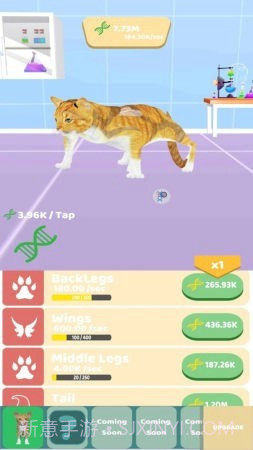 动物进化实验无限版截图2