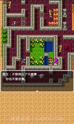 勇者斗恶龙2截图4