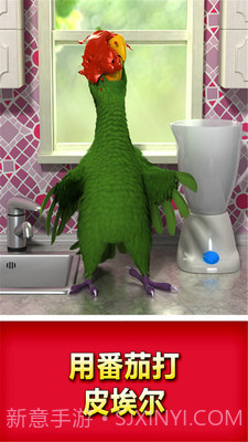 会说话的鹦鹉截图3 会说话的鹦鹉截图3