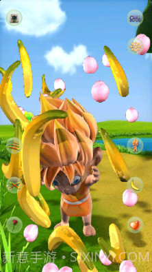 Talking Monkey Boy截图4 Talking Monkey Boy截图4