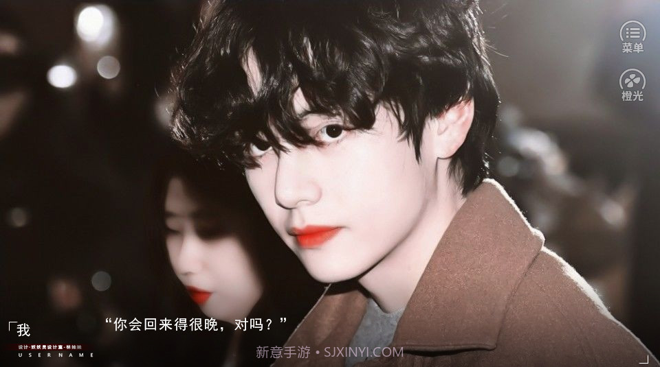 如鲸向海鸟投林截图1