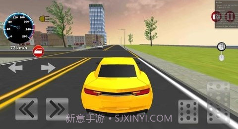 city car driving截图2