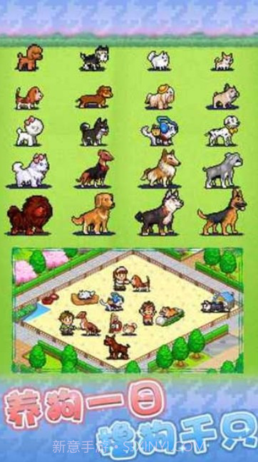 发现狗狗乐园游戏截图3