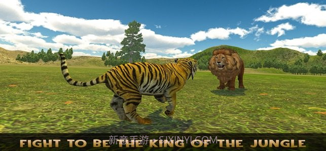 the lion family截图4 the lion family截图4