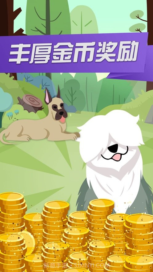 开心犬舍截图3 开心犬舍截图3