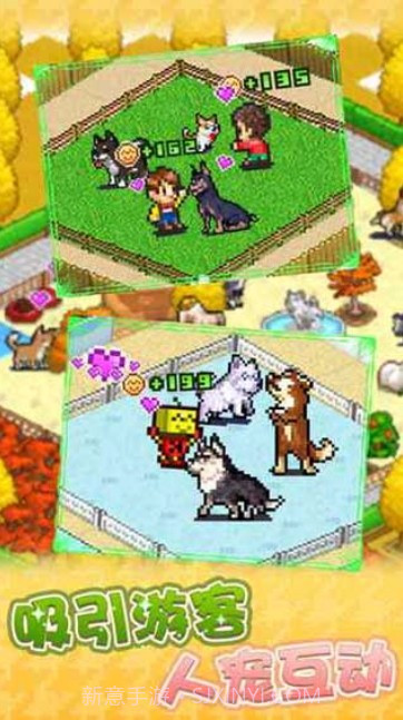 发现狗狗乐园游戏截图1