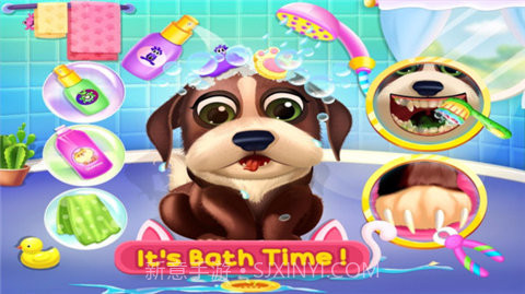 狗狗护理中心截图1 狗狗护理中心截图1