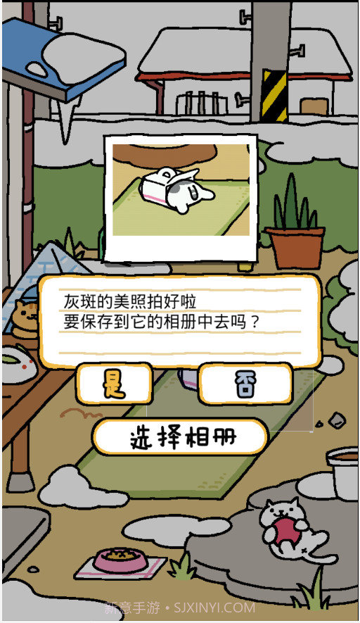 猫咪后院APP截图3