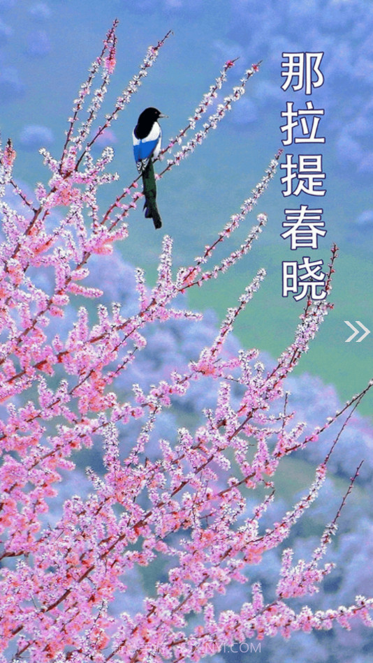 新源好地方截图3 新源好地方截图3