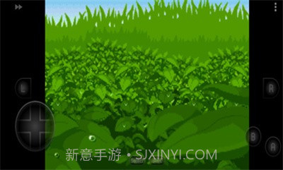 口袋妖怪四季之约截图2