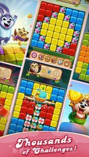 宠物益智冒险截图2