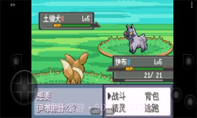 口袋妖怪四季之约截图3