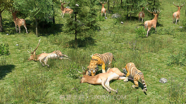 野生老虎模拟器截图3