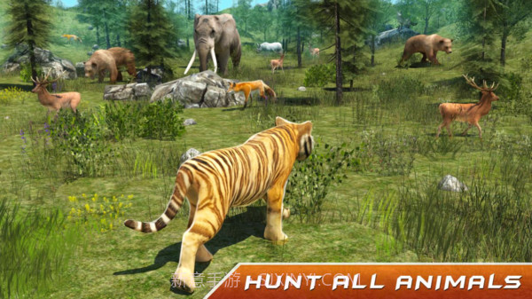 野生老虎模拟器截图1