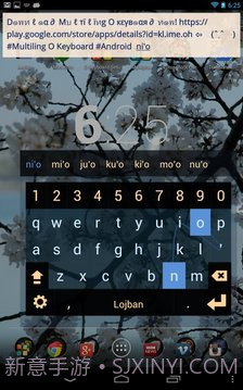 MultiLing 输入法截图11 MultiLing 输入法截图11