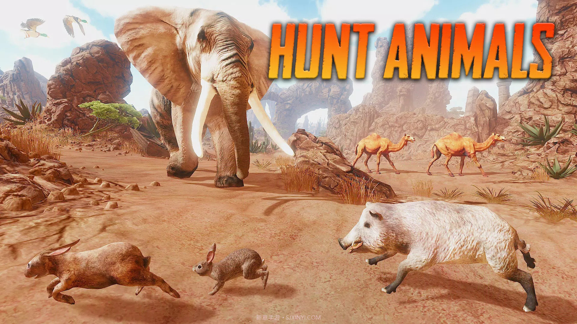 野猪模拟器截图3 野猪模拟器截图3