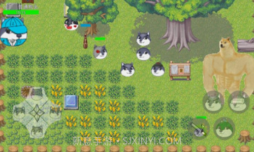 狗头卡包2截图3