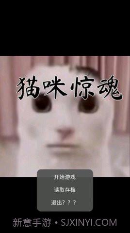 猫猫惊魂截图1 猫猫惊魂截图1