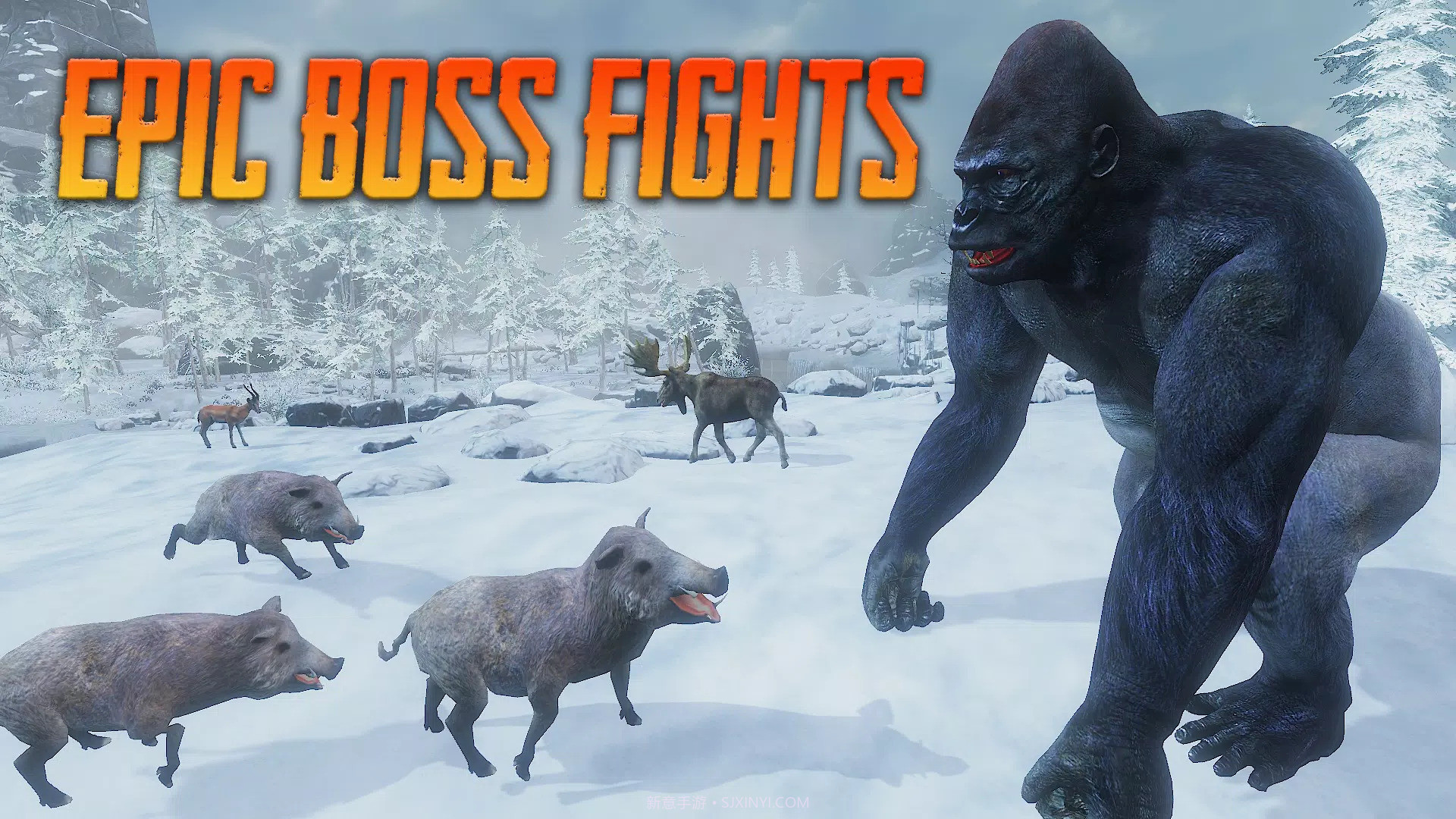 野猪模拟器截图2 野猪模拟器截图2